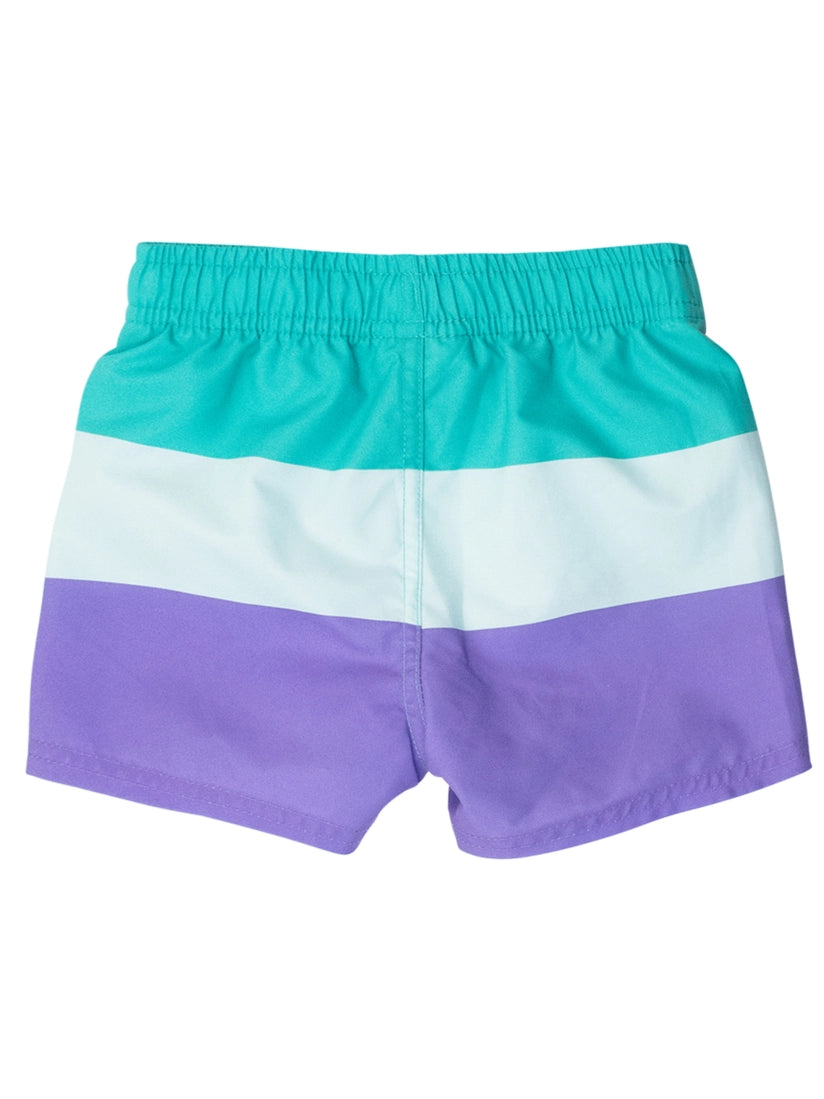 Colorblock Green Purple Swim Trunks